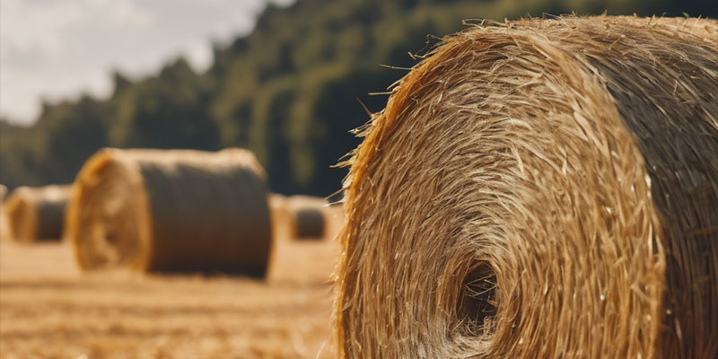 UK Job Market - Needle in a haystack